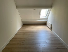 Vloerbedekking  (laminaat, pvc, hout) Alkmaar