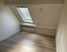 Vloerbedekking  (laminaat, pvc, hout) Alkmaar